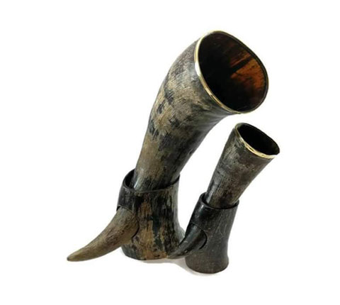 natural_drinking_horn